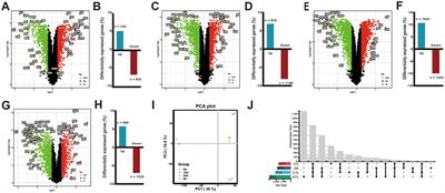 Transcriptomic analysis reveals upregulated host metabolisms and downregulated immune responses or cell death induced by acute African swine fever virus infection